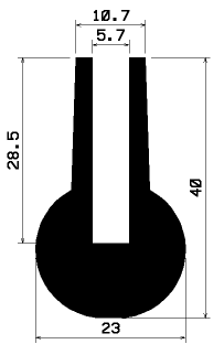 SL 2022
